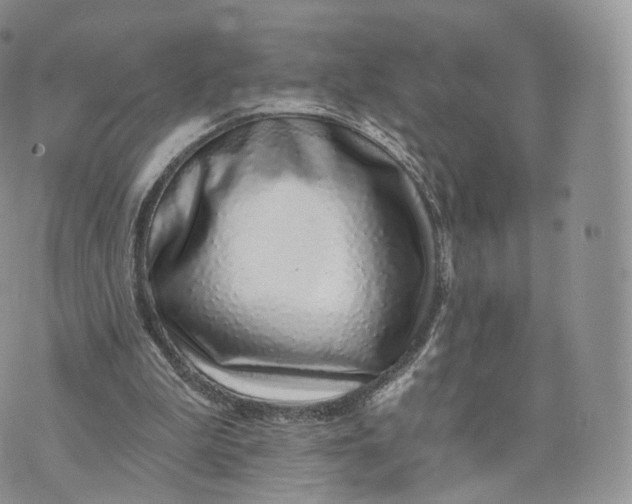 X0000072940199200608111609