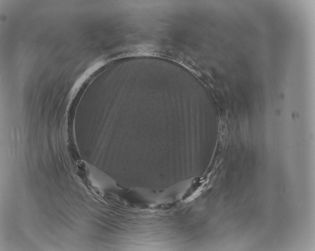 X0000072940200200608111609