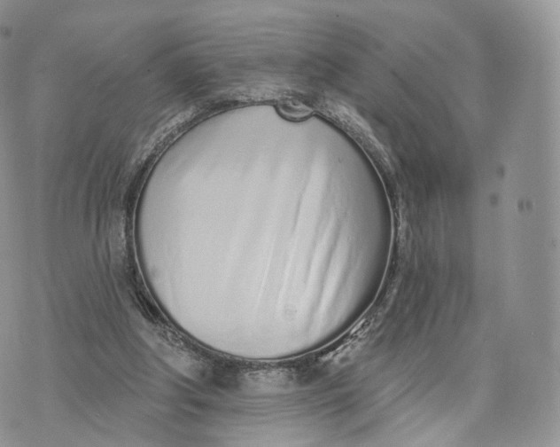 X0000072940202200608111609