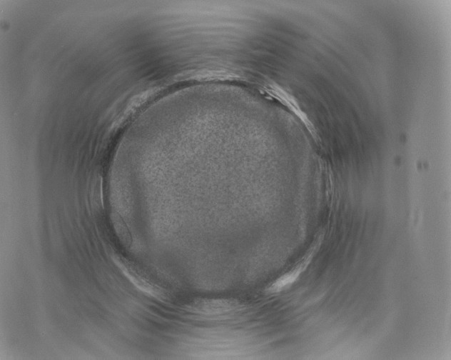 X0000072940205200608111609