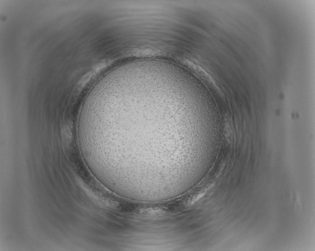 X0000072940208200608111609