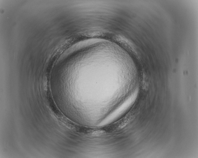 X0000072940210200608111609