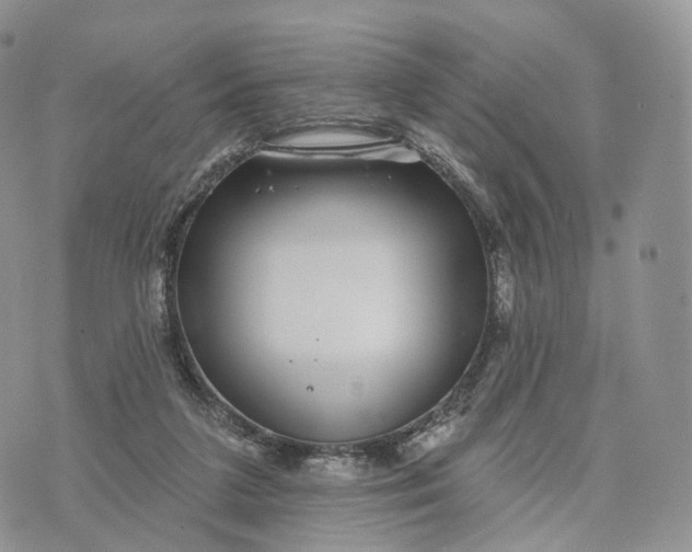 X0000072940211200608111609