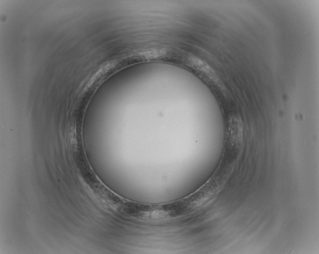 X0000072940212200608111609