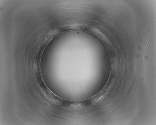 X0000072940213200608111609