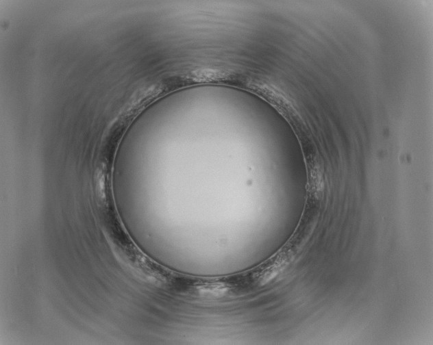 X0000072940214200608111609