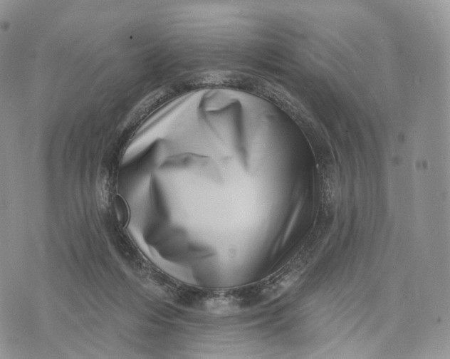 X0000072940216200608111608