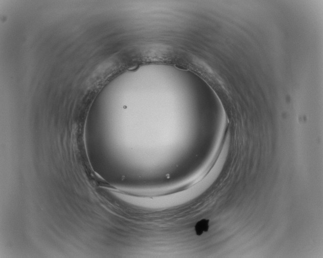 X0000072940217200608111608