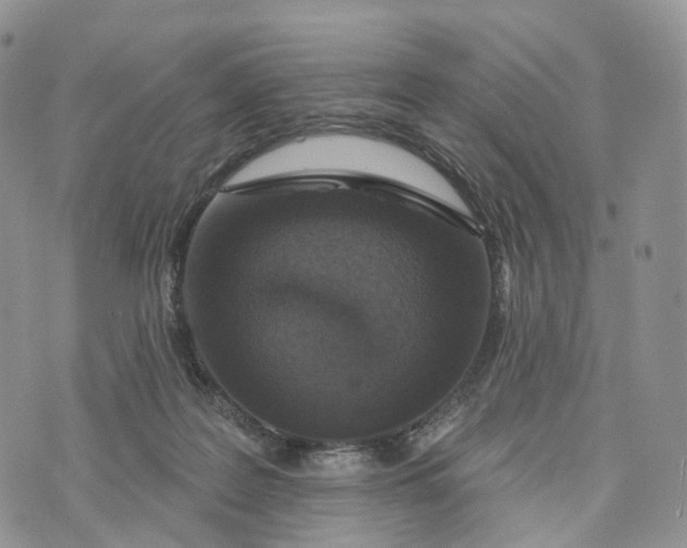 X0000072940219200608111608