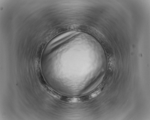 X0000072940222200608111608