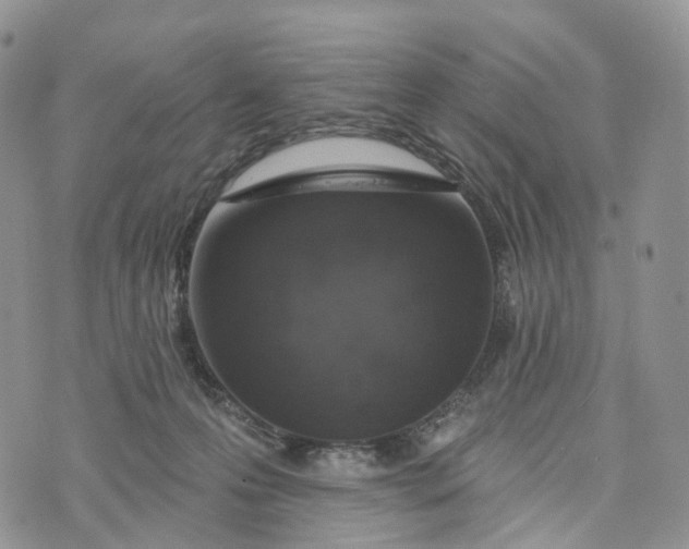 X0000072940223200608111608