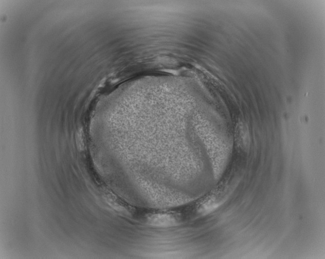 X0000072940224200608111608