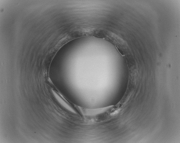 X0000072940225200608111608