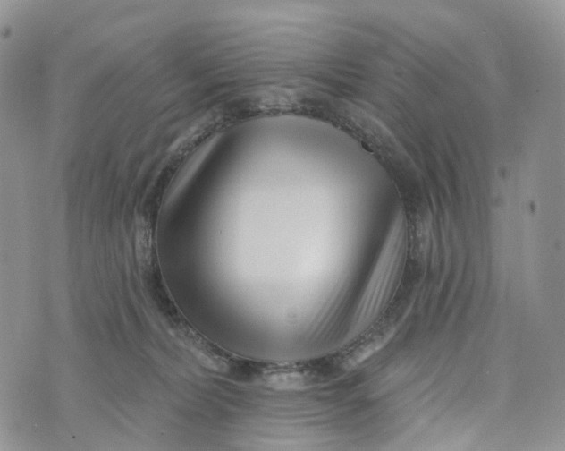 X0000072940228200608111608