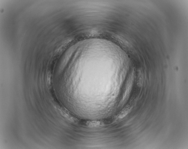 X0000072940230200608111608