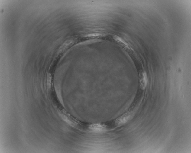 X0000072940231200608111608