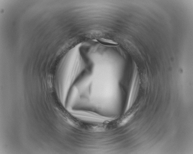 X0000072940232200608111608