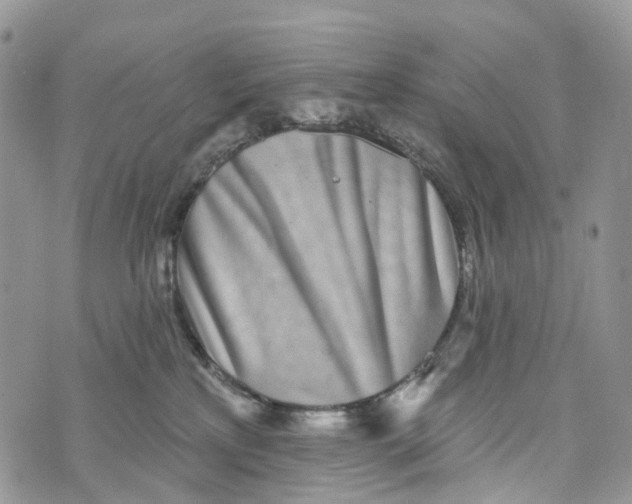 X0000072940233200608111608