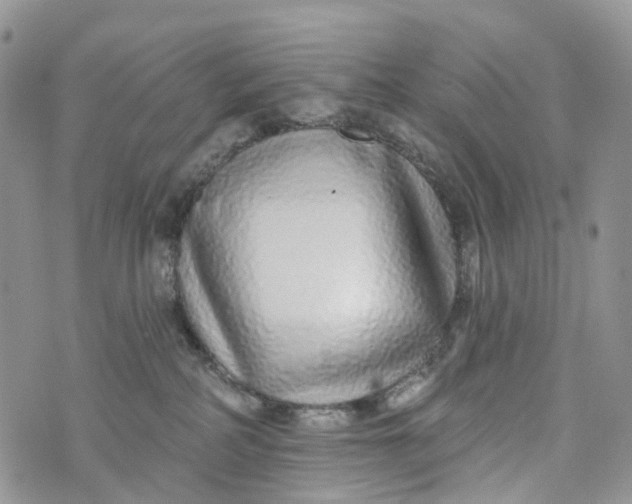 X0000072940234200608111608