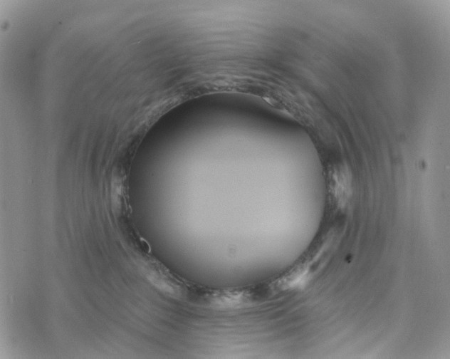 X0000072940235200608111608