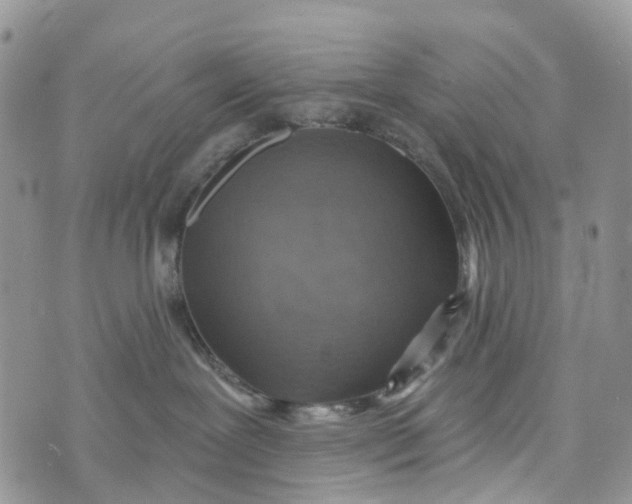 X0000072940239200608111608