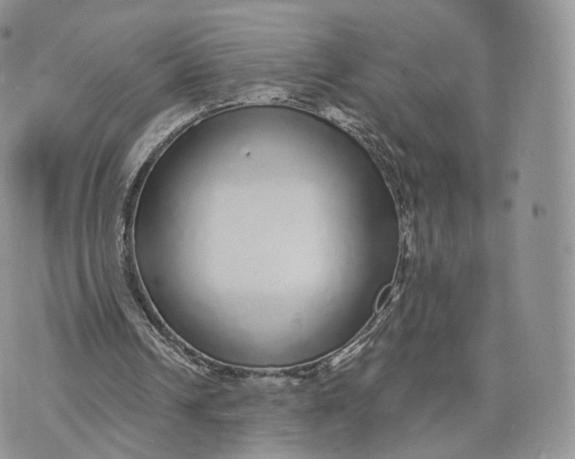 X0000072940242200608111607