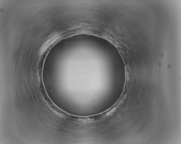 X0000072940245200608111607