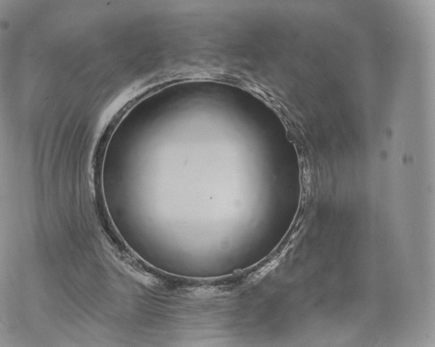 X0000072940246200608111607