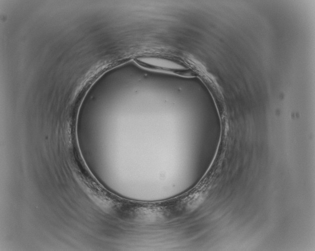 X0000072940250200608111607