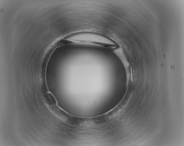 X0000072940252200608111607