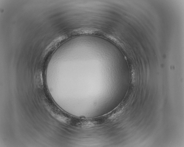 X0000072940254200608111608