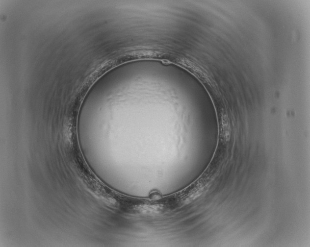 X0000072940255200608111608