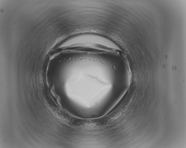 X0000072940256200608111608