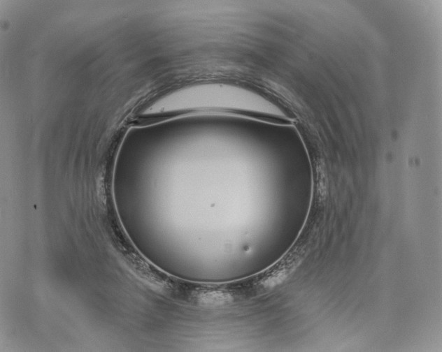 X0000072940258200608111608