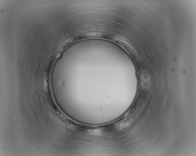 X0000072940259200608111608