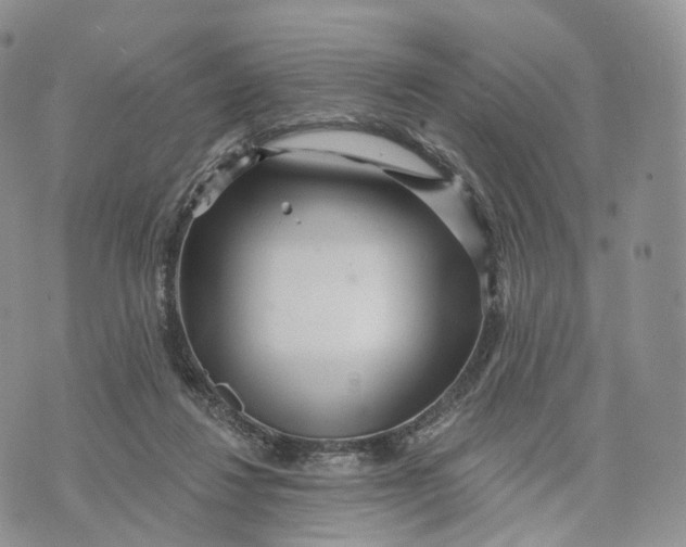 X0000072940260200608111608