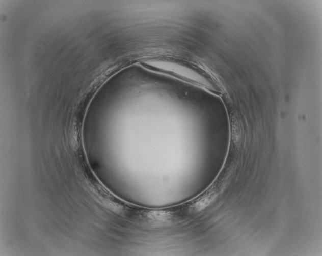 X0000072940261200608111608