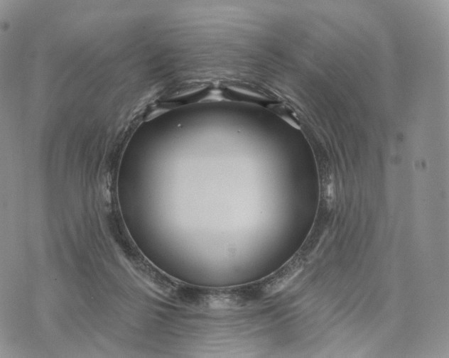 X0000072940264200608111608