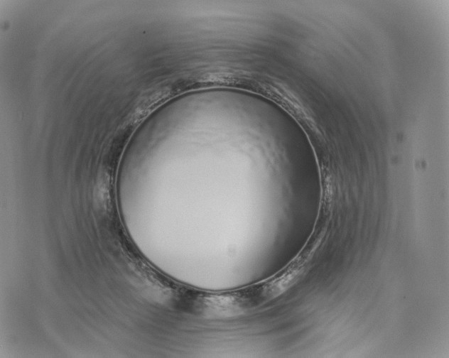 X0000072940265200608111608