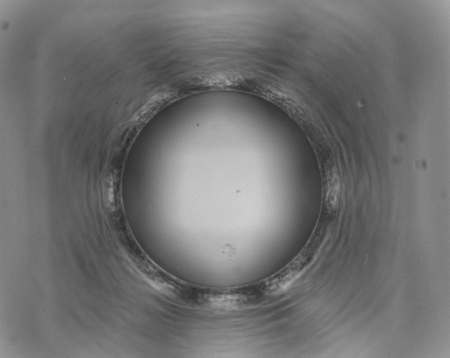 X0000072940268200608111608