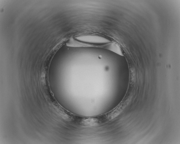 X0000072940269200608111608