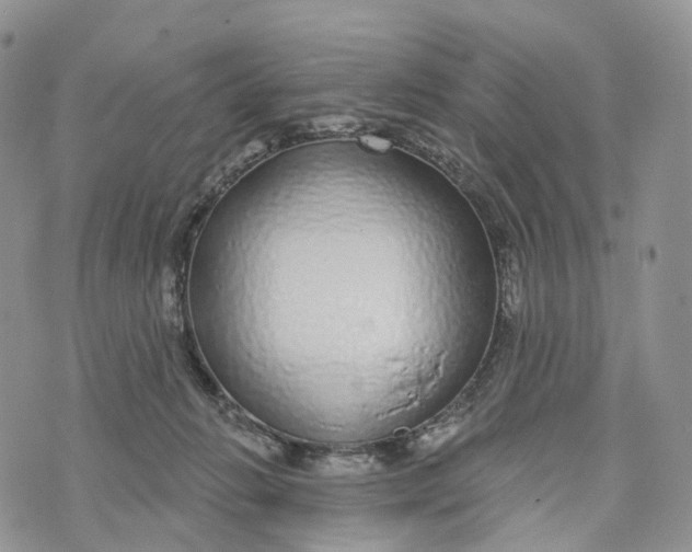 X0000072940270200608111608