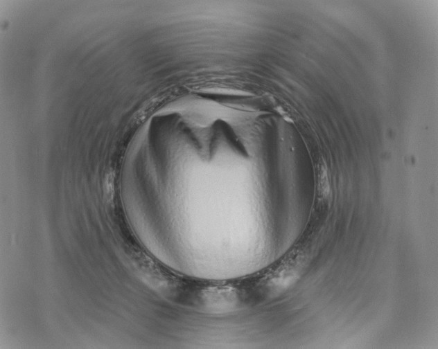 X0000072940271200608111608