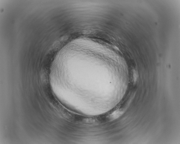 X0000072940272200608111608