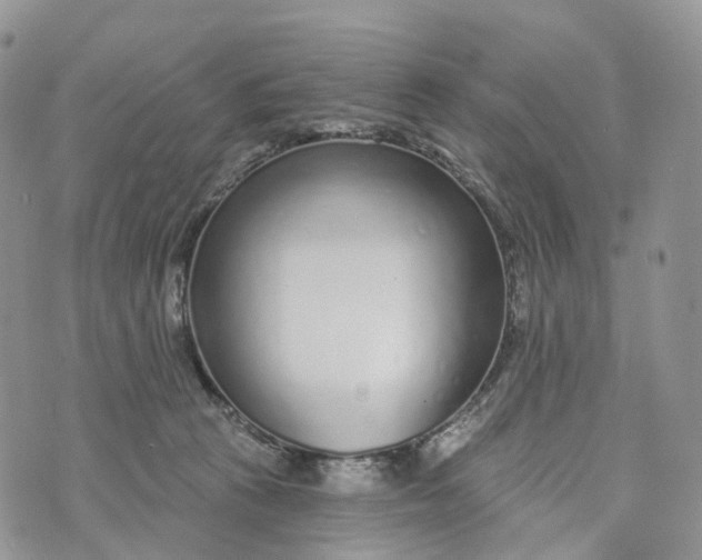 X0000072940273200608111608