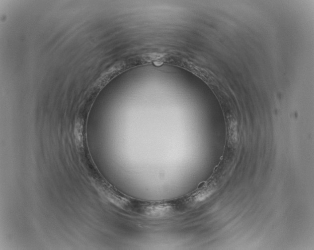 X0000072940274200608111608