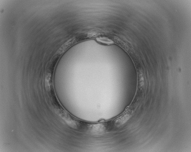 X0000072940275200608111608