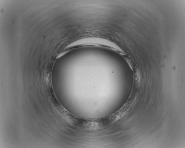 X0000072940276200608111608