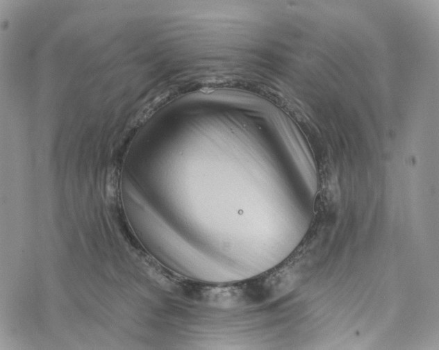 X0000072940277200608111608