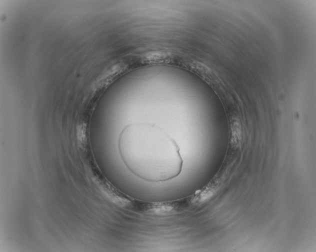 X0000072940278200608111608